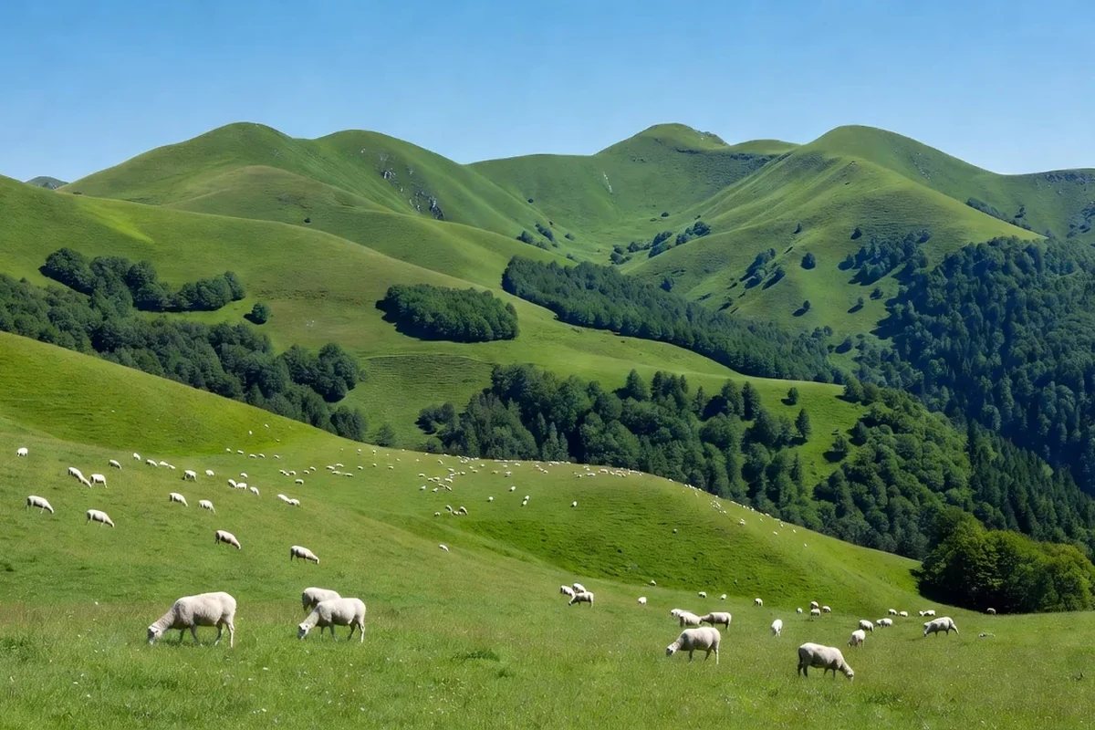 The Bjelasica Mountains
